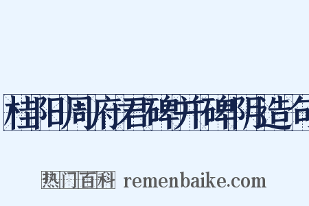 桂阳周府君碑并碑阴造句是什么意思的图片